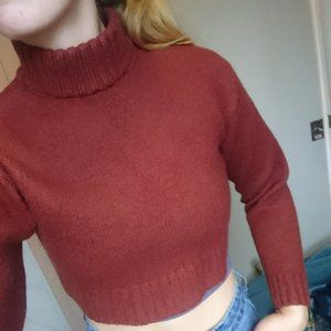 Aritzia Wilfred Free Merino Wool Cropped Sweater – Rust